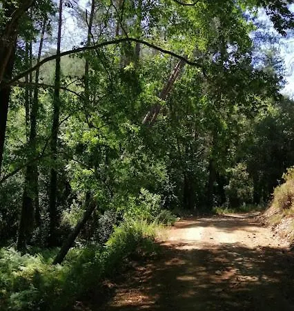Villa Nicolas